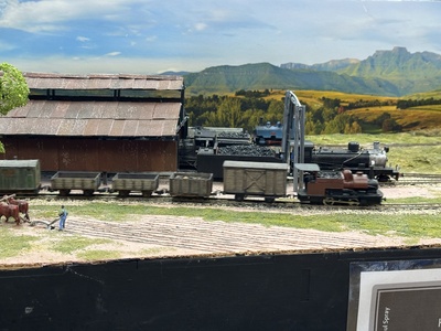 Goods train passes Harding locomotive depot