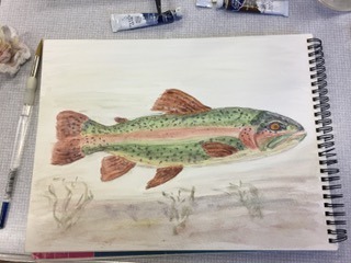 Watercolour fish