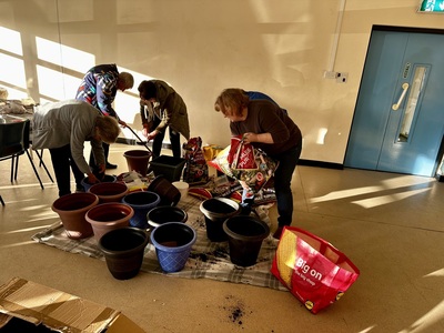 Spring bulb planter 1