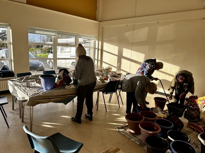 Spring bulb planter 2