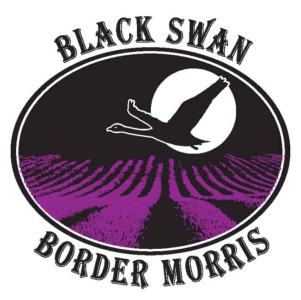 purple and black oval logo with a black swan