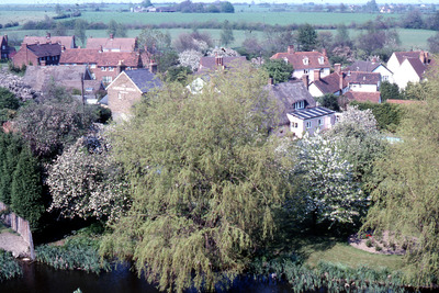 A view from the Mount