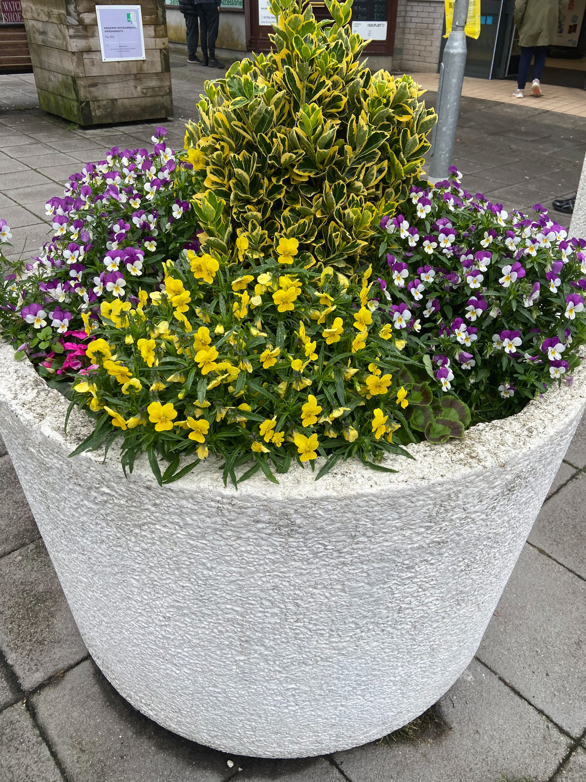 planter