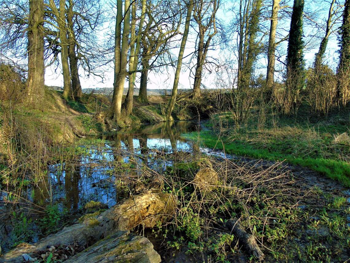 Pyrtle or Purtwell Spring, located in the Risborough gap, must have been a prime reason for the earliest settlement in Princes Risborough.