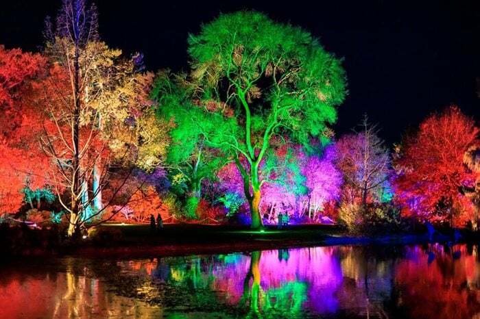 RHS Wisley Glow