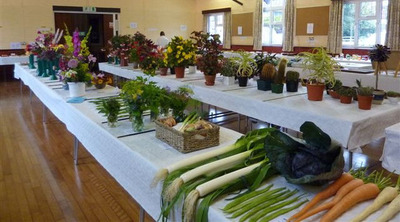 Calm before the judging