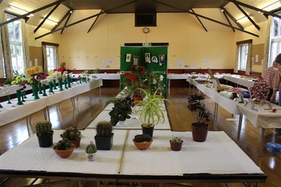 Ready for the Judges