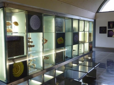 The Seed Displays