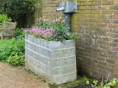 ...with Spring Bulbs