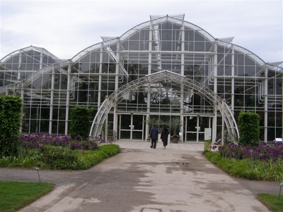 The glasshouse with it's aliums