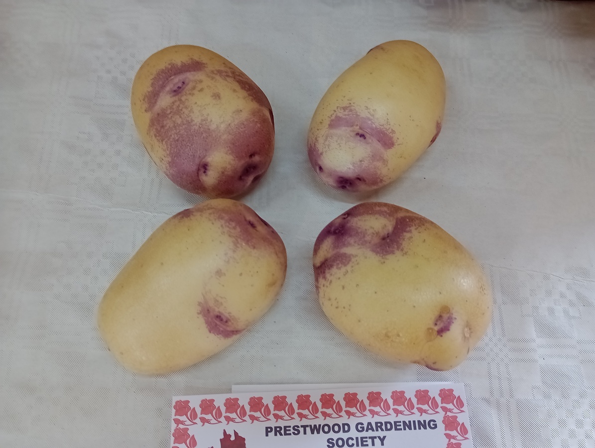 IMG_20240907_132521545_MFNR