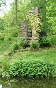 DSC07992-1