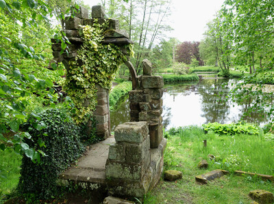 DSC07995-1