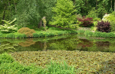 DSC08001-1