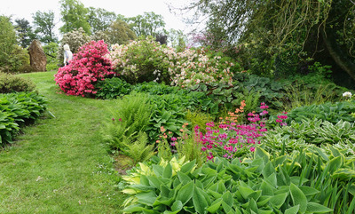 DSC08004-1