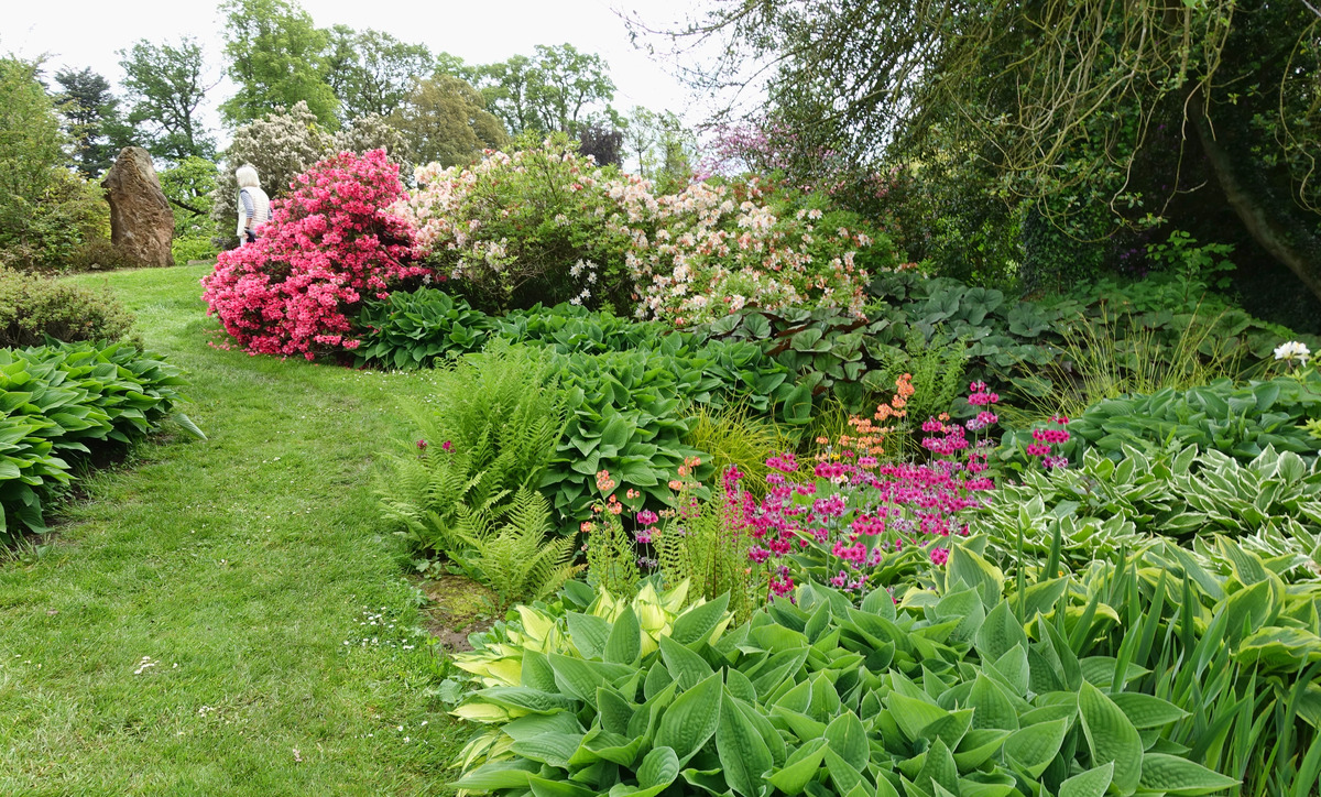 DSC08004-1