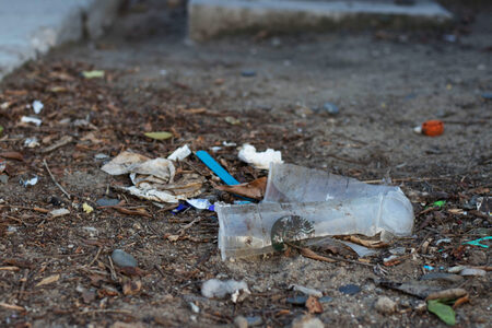 Putney Tidy Towpath Group logo