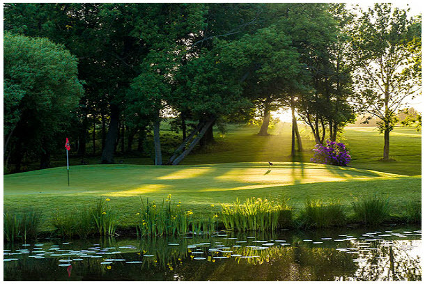 Hertfordshire green by lake