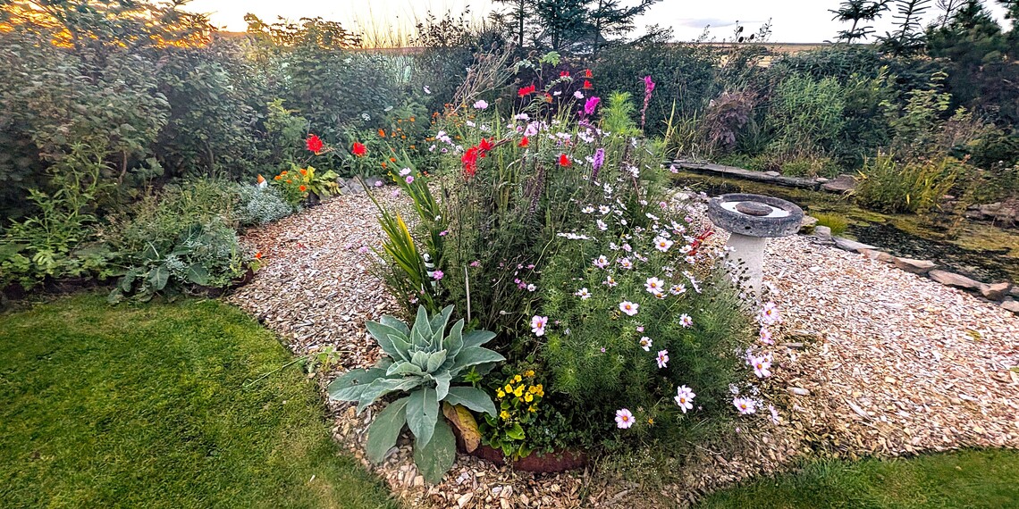 front_garden