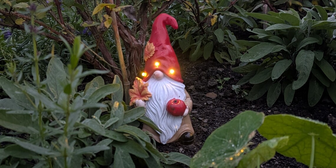 gnome_closeup