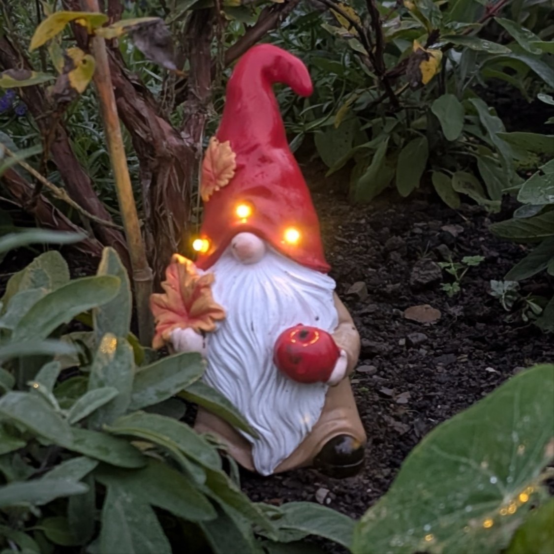 gnome_square