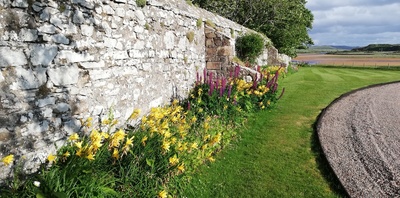 IMG_20240605_184049