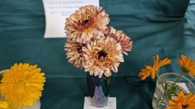 PXL_20240824_092904396