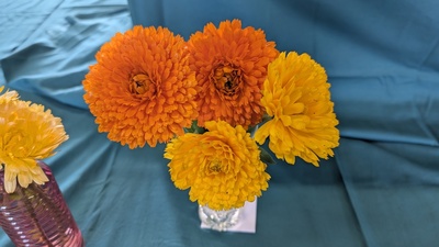 PXL_20250830_085457548