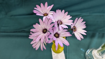 PXL_20250830_085527613