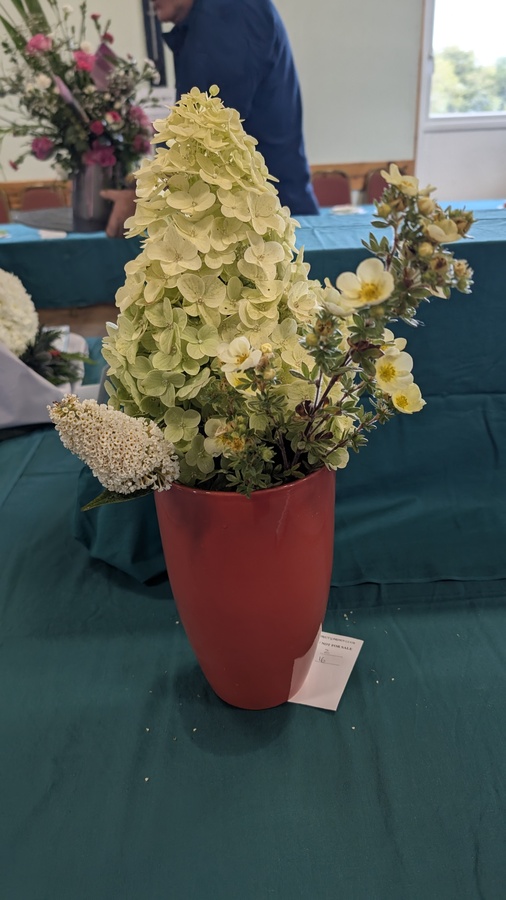 PXL_20250830_085537132