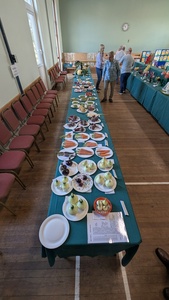 Section 3 Veg_i