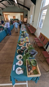 Section 3 Veg_ii