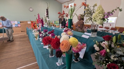 Section 2 Cut flowers