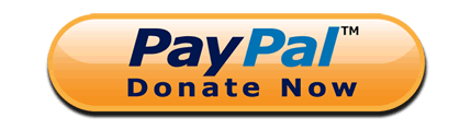 Logo of paypal.com