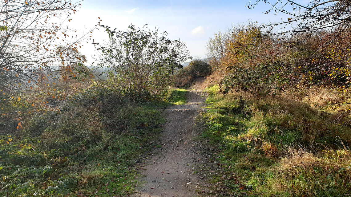 Ranmore bike track