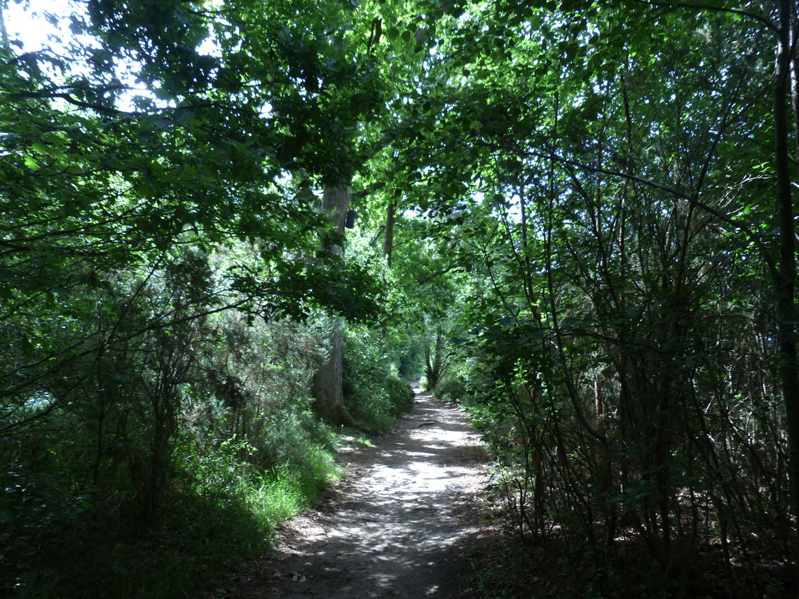 greenwalkpath
