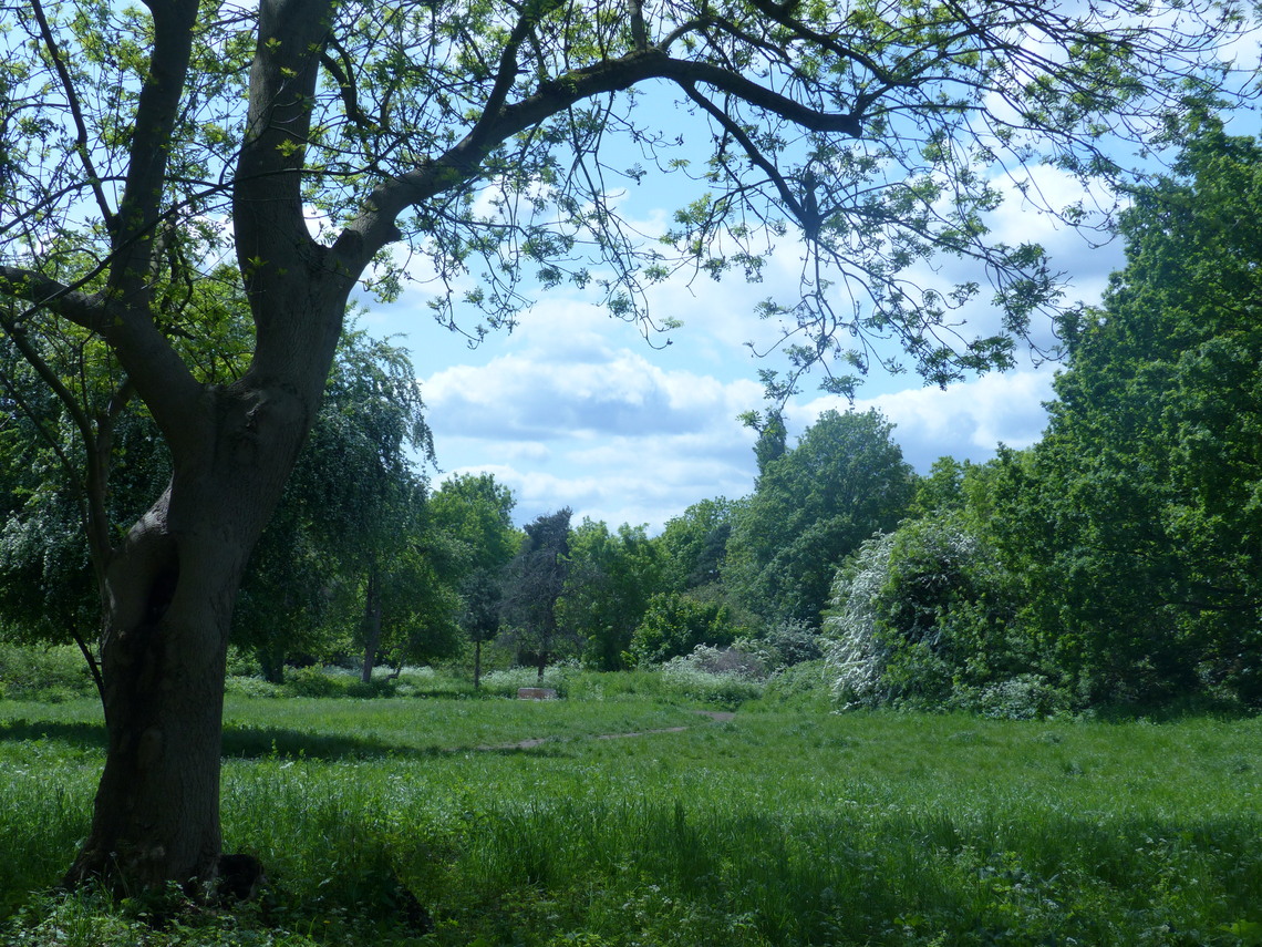 sanctuary meadow