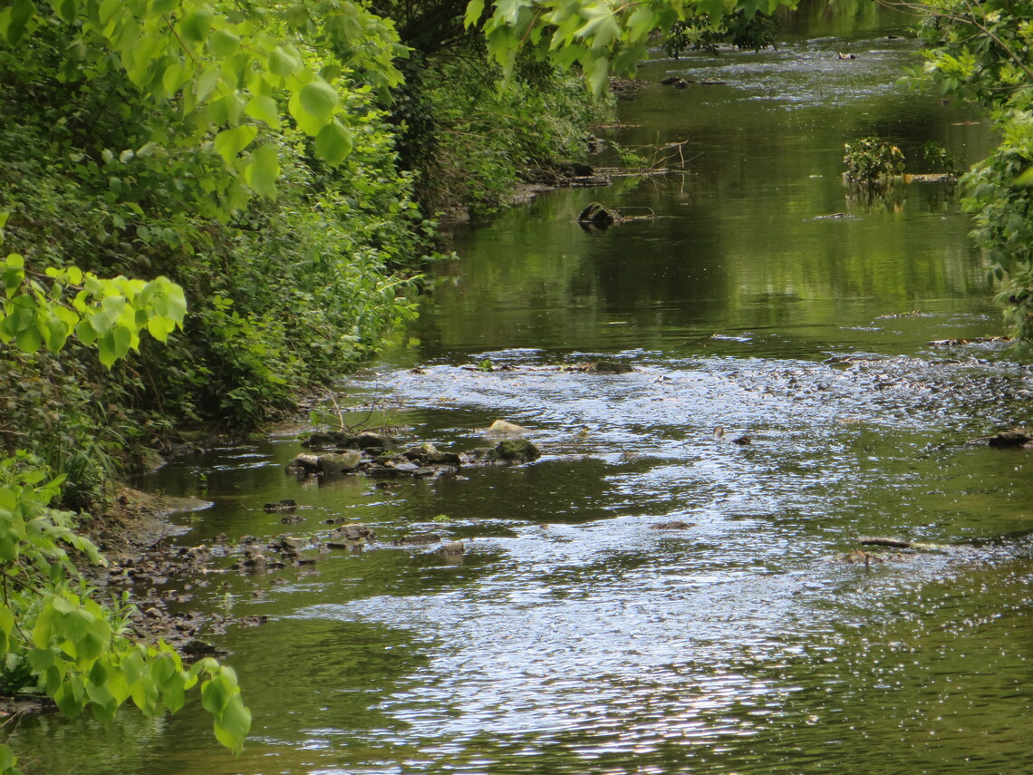 river crane mill rain