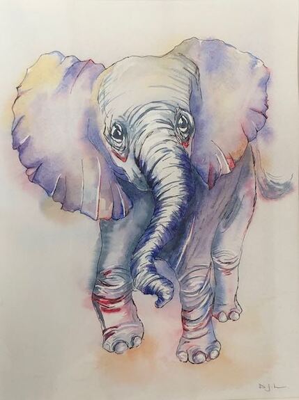 Watercolour painting of a baby elephant by Diane Lloyd