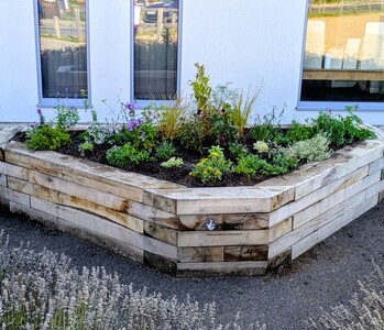 VH planter
