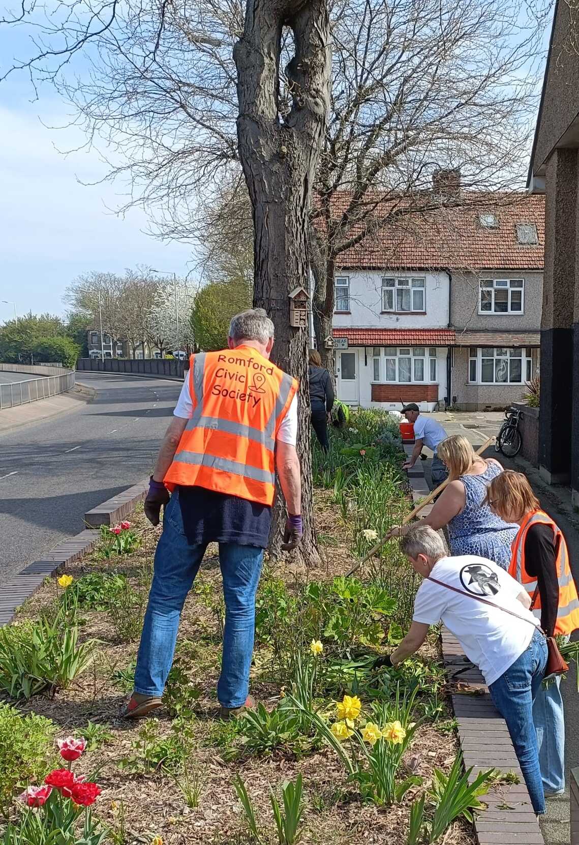 Gardening at Wheatsheaf Road Flower Bed