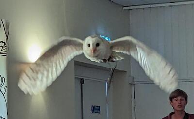 Owl Evening Friday 19th May 2023