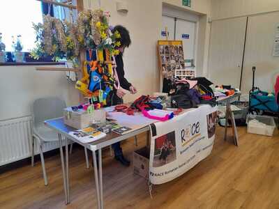 Romanian Animal Care