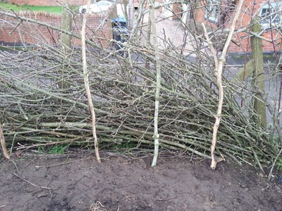 Dead hedge