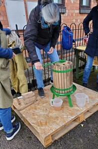 Pressing the apples