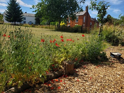 Extension of Q Corner