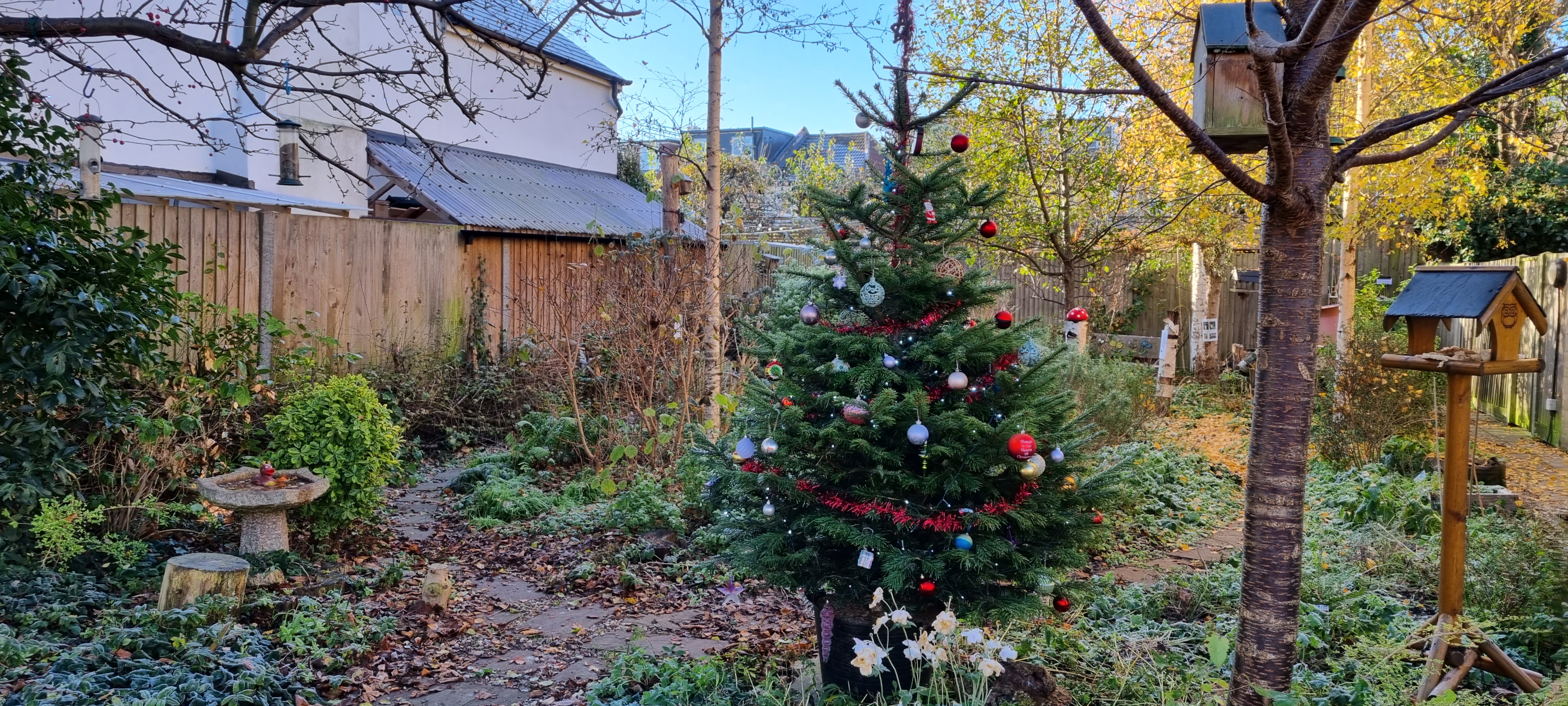 Christmas tree 2022