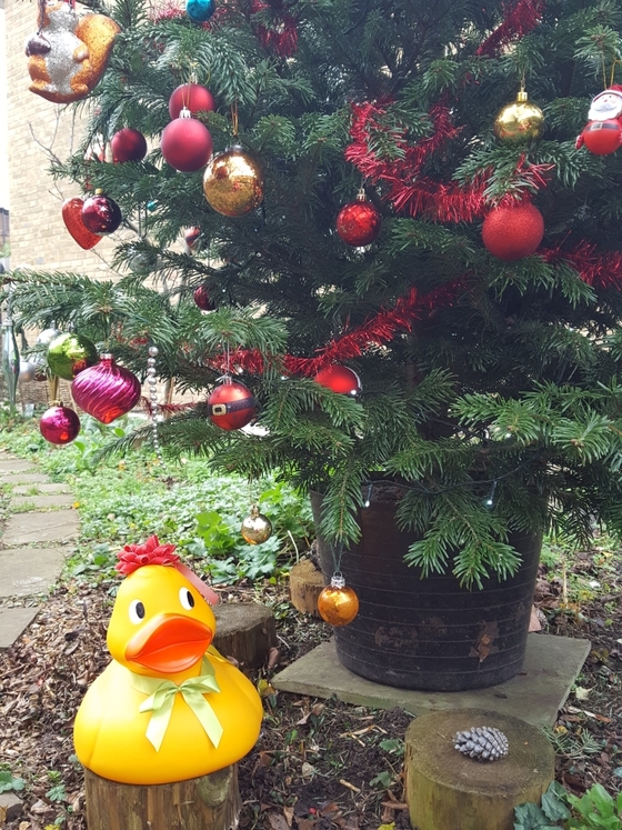 Duckie under tree 2016