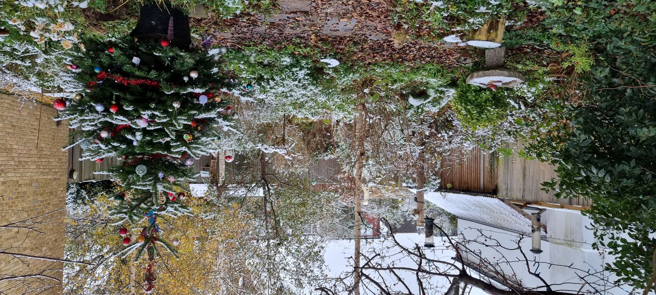 Snowy Christmas Tree