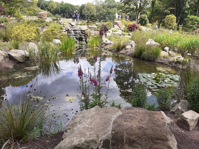The Japanese Garden.